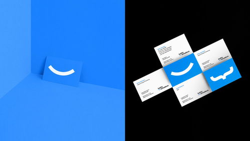 數(shù)字時(shí)代的匠心融合 Baltic Amadeus 定制軟件開(kāi)發(fā)公司品牌形象設(shè)計(jì)解析