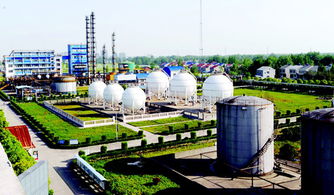 潛江聚力促發展，強招商打造新能源新材料產業新高地